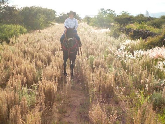 paseos por el campo